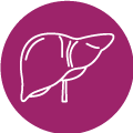 Liver Icon